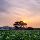 석양풍경 이미지