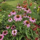 뉴신도공인중개사사무소 이미지