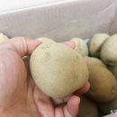 참한유통 이미지