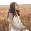 박란 카카오 검색결과