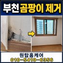 겨울아침창가에서 | 부천 창가 벽지 곰팡이제거 벽지 들뜸과 검은 얼룩, 결로 원인부터 해결한 시공 후기