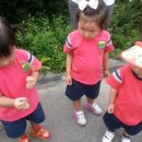 양수농원 이미지