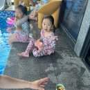 신파리208아이들 이미지