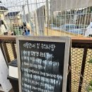 광주송정도서관 | [라이크캣] 광주 데이트 추천 ! 송정역 근처 펫카페 후기(1층 강아지, 2층 고양이)