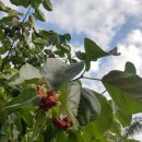 복골민박 이미지