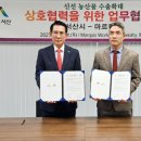 현지유통 이미지