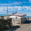 이호조아 이미지