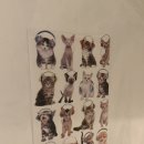 천하세탁소 이미지