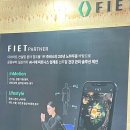 알파강남