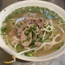 분포나인 이미지