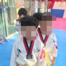 한국체대 백궁 태권도장 이미지