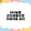 안정 | NH농협 군인생활안정 자금대출 금리, 한도 및 후기