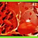 주식회사 천도 이미지