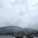 청주 카페 트리브링 도심속 숲속공간 베이커리카페 청주가볼만한곳 내돈내산 방문후기