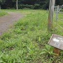 청수 곶자왈 이미지