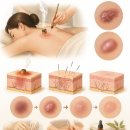 153세 장수한의원 이미지