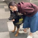 부산대학교 산학협력단 노동조합 | &lt;핫뉴스*좋은 뉴스 골라읽기&gt;□2025.08.13□