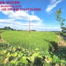 신영목장2 이미지