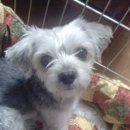 면목동-016 이미지