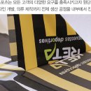 에스제이크리에이티브 이미지