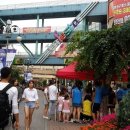 라페스타 동물병원 이미지