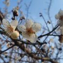세컨드브레인 이미지