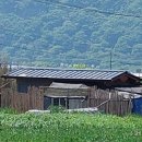 금환농장 네이버블로그