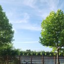 아라뱃길시천자전거대여소 이미지