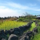 호텔3월 이미지