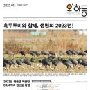 상우 태양광발전소 이미지