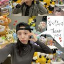 팬더미