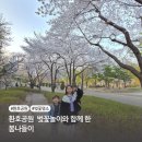 금계작은도서관 | 환호공원 벚꽃놀이와 함께 한 봄나들이