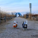 하늘공원 화장실 이미지