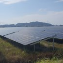 밝은빛 2 태양광발전소 | [미국 태양광] 현대건설, 텍사스를 빛내다! '루시 프로젝트' 착공과 팀 코리아의 위대한 도전