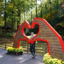 장태산휴양림 이미지