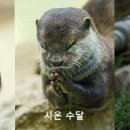 추임새 이미지