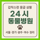 늘사랑동물병원 | 갑작스런 응급 상황, 24시 동물병원 어디로 가야 할까? (서울 경기 광주 여수 정리)