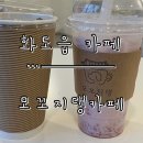 모꼬지댕카페 | [화도읍 카페] 소형견, 대형견 공간 분리 애견카페 ‘모꼬지댕카페’ 내돈내산 후기.