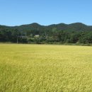 충남 태안반도 절경 3박4일 " 솔향기길 "을 따라 걷고서..... 이미지