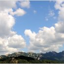 홍연약국 이미지