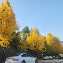 별미삼청수제비 이미지