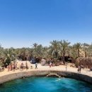 호수약국 이미지