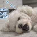 미스터토리 이미지