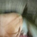 동현불가마사우나 이미지