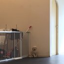 몽멍이들 이미지