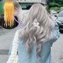 라봉헤어살롱 | 탈색 후 셀프염색 쿨톤 애쉬그레이 라본느 염색약 추천