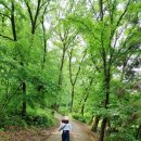 기린공원(오목대) | 전주로 쉼여행 2일 차 일정! #부모님과전주 #전주치명자산성지 #한옥마을야경