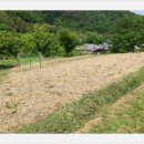 사랑농장 이미지