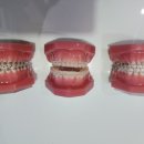 서울범어치과교정과치과의원 이미지