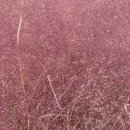 못골당구장 이미지